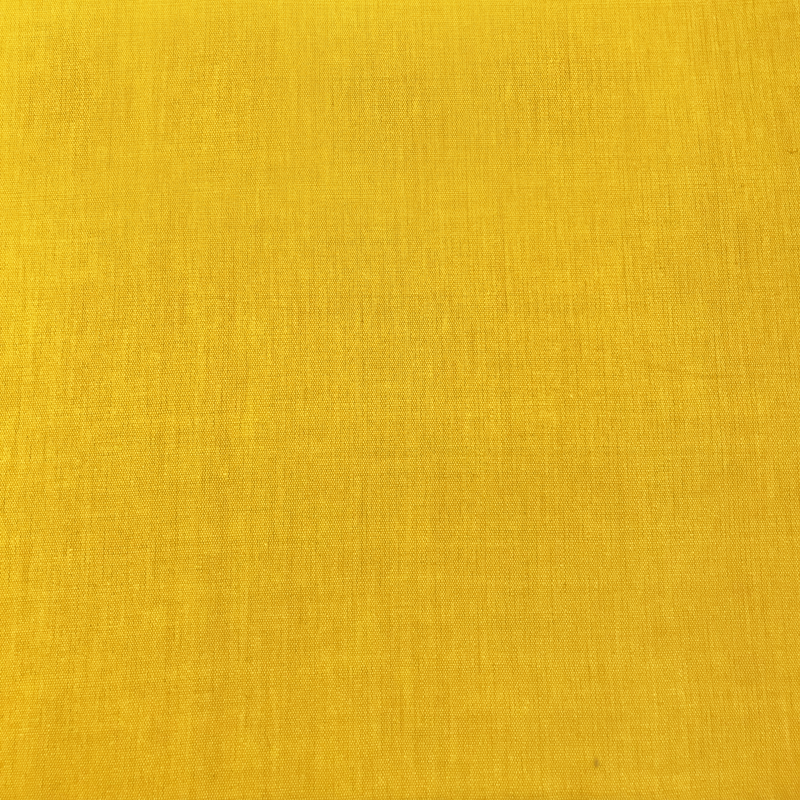 Lotus 669 yellow/ochre