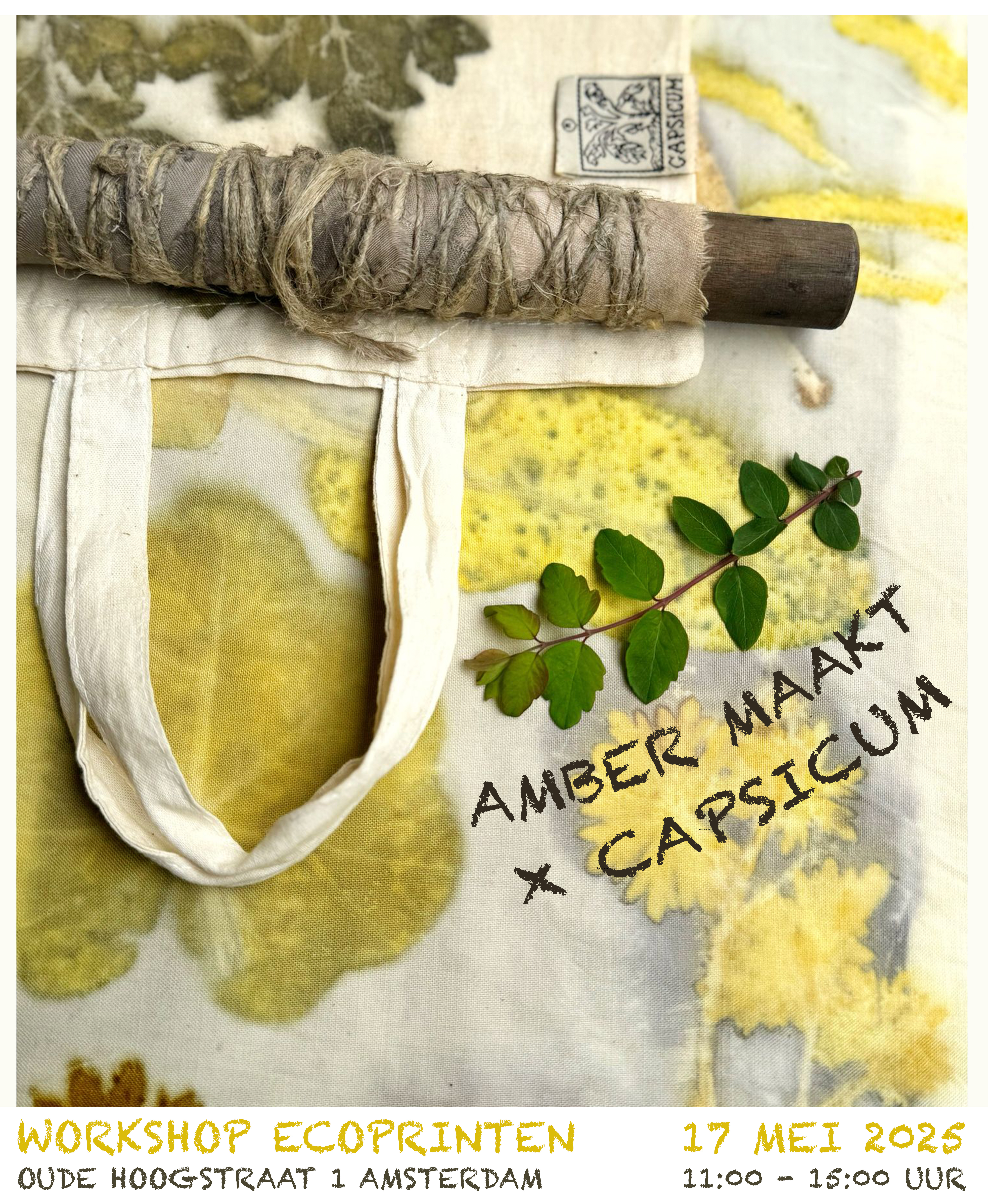 Capsicum nieuws